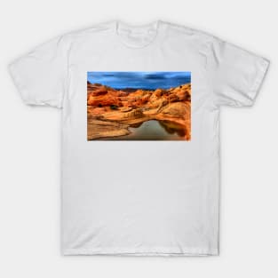 Water In The Desert Wilderness T-Shirt